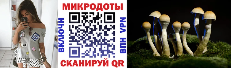 Галлюциногенные грибы Psilocybine cubensis купить наркоту Красный Сулин