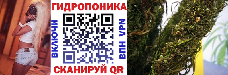 наркотики  OMG   Шишки марихуана Amnesia  Красный Сулин 